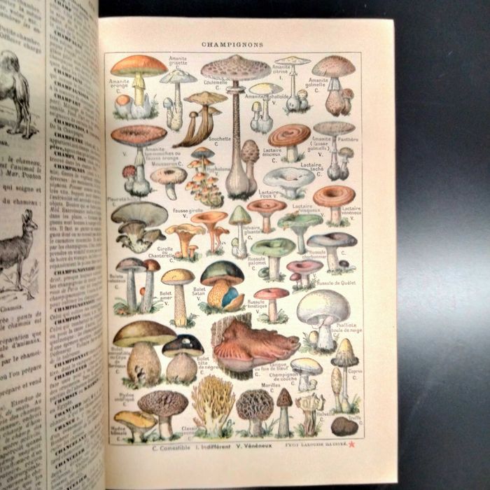 Nouveau Petit Larousse Illustre 1937