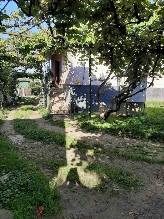 Продається будинок в живописному місті Свалява,,ціна 55 тисяч дол.США