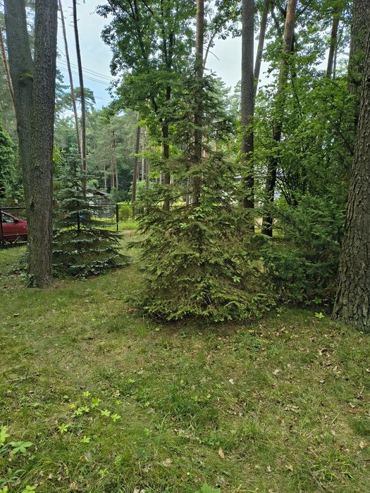 Działkę sprzedam - Widok 5
