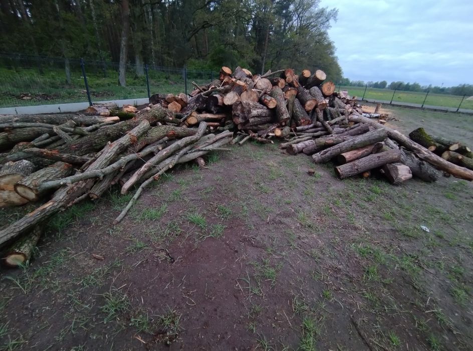 Drewno opałowe i rozpałkowe ( suche ). Sosna , Dąb , Brzoza !!!
