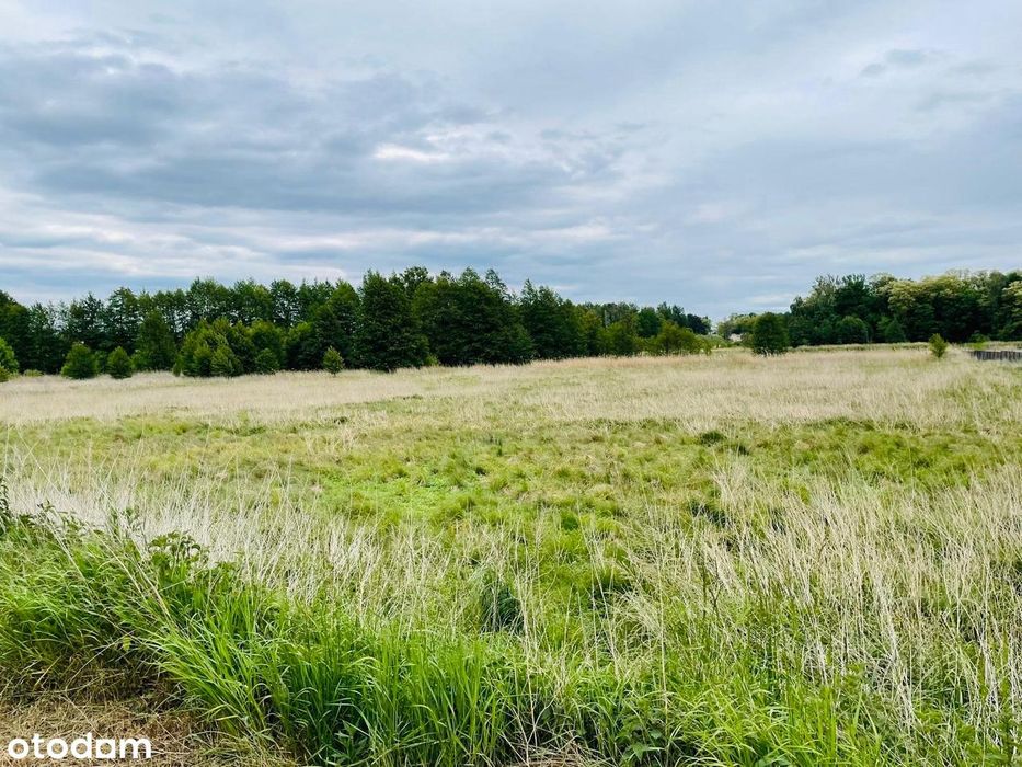 Oferta sprzedaży działek budowlanych – Świebodzin, ul. Zacisze - Widok 5
