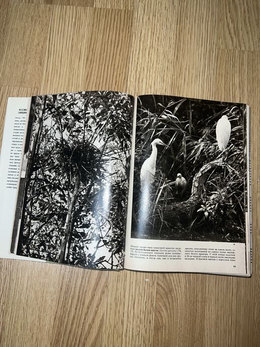 Ілюстрована енциклопедія птахів, Ян Ганзак, Прага, 1985