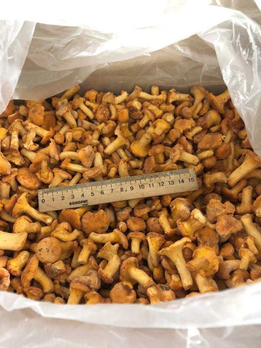 Kurki mrożone, organiczne