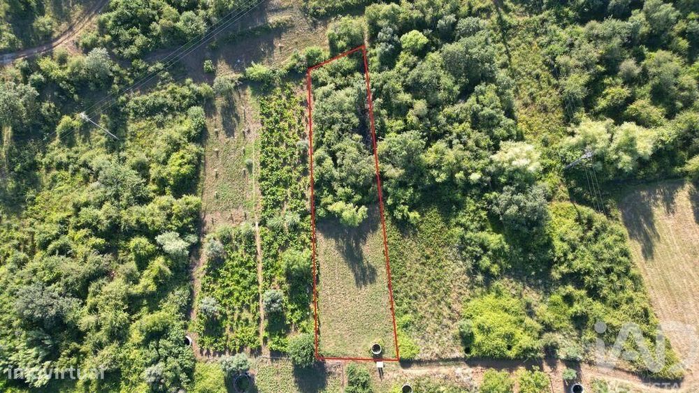 Terreno Agrícola em Avelar