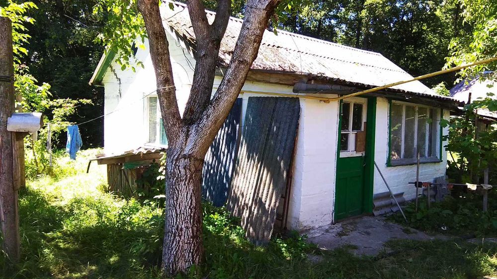 Продається будинок в с. Березняки ЧЕРКАСЬКОГО р-ну, Черкаської області