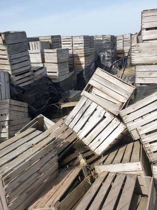 Skrzynki drewniane jedynki plastikowe do ogrodu na działkę doniczka
