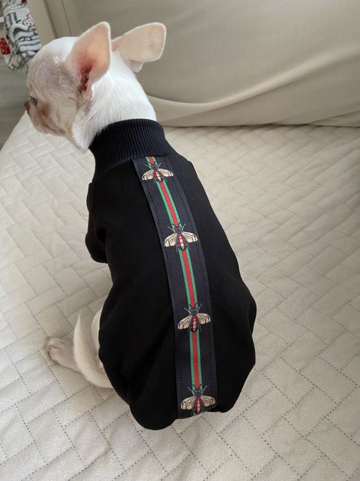 Bluza ubranko MIKI dla pieska Chihuahua roz. S