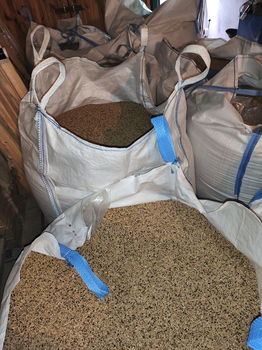 Pszenica bez oprysków