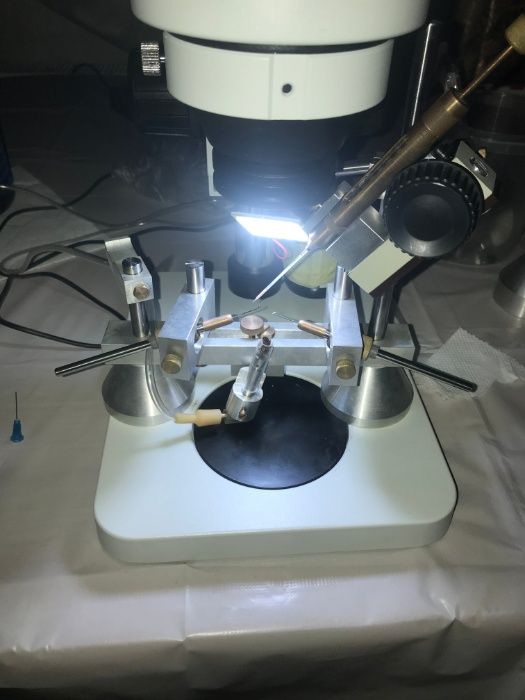 Пчеломатки, Бджоломатки БАКФАСТ на сезон 2026. F1, ІО.