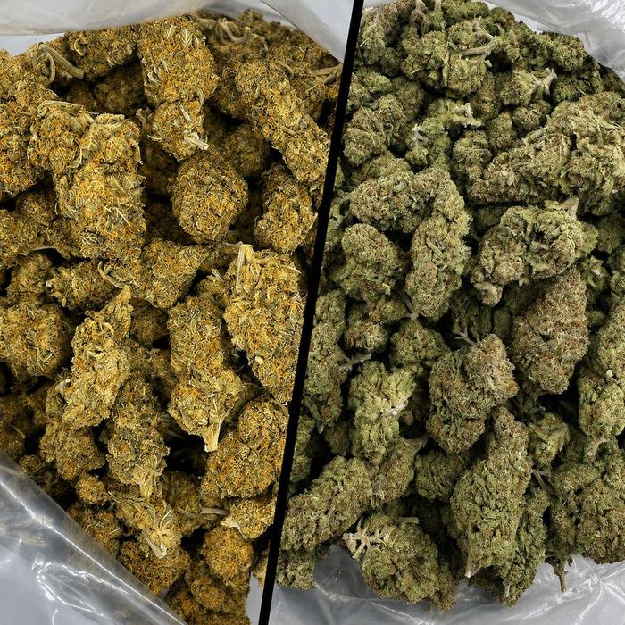 5g Lemon Haze 29% NOWOŚĆ! + 5g White Widow 22%