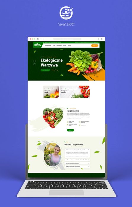 Strony WWW | Projektowanie stron internetowych | Sklepy internetowe