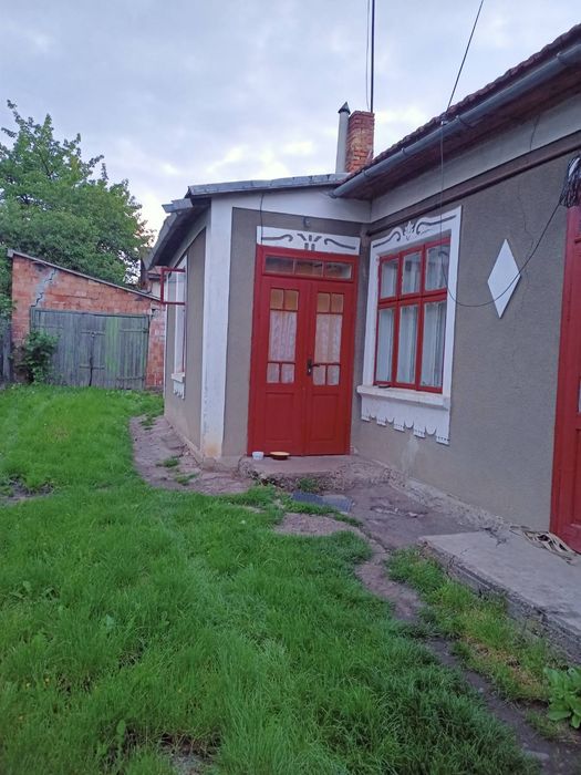 Квартира в будинку