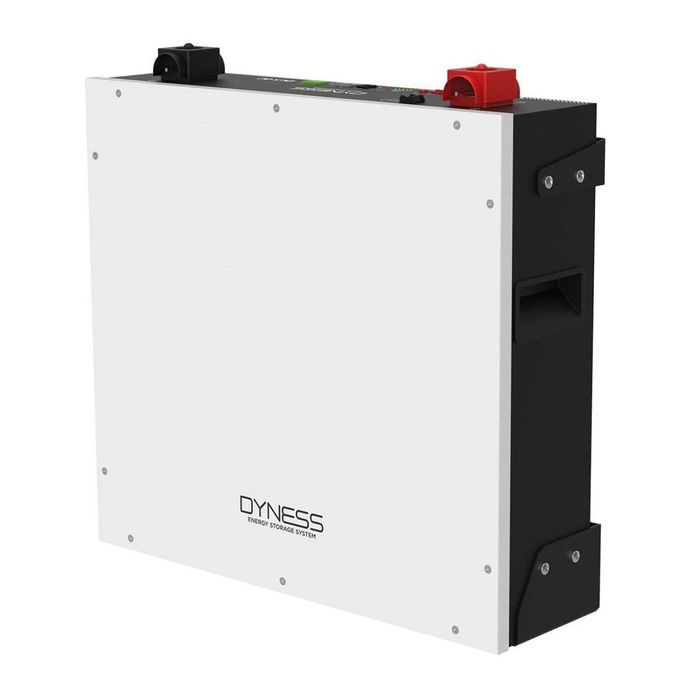 Акумуляторна батарея з підігрівом Dyness DL5.0C 5.12KWH 51.2V 100AH