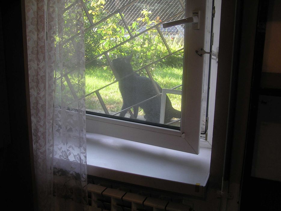 Zdjęcie 4