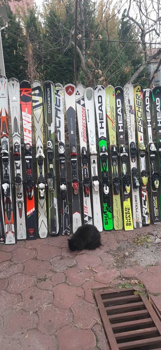 прокат лиж:бігових, гірських та сноубордів.