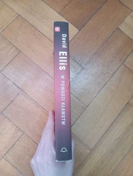 W powodzi kłamstw - David Ellis