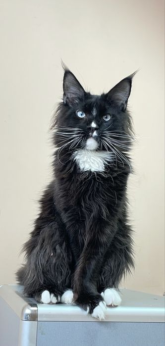 Мальчик 7 месяцев