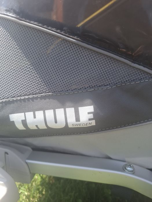 Riksza thule najlepsza firma