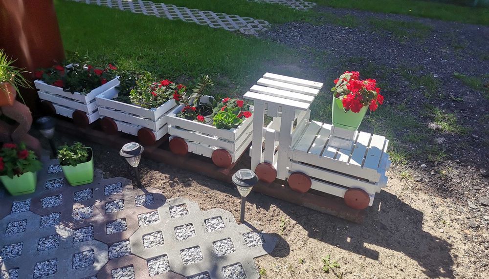 Doniczki pociąg z wagonami