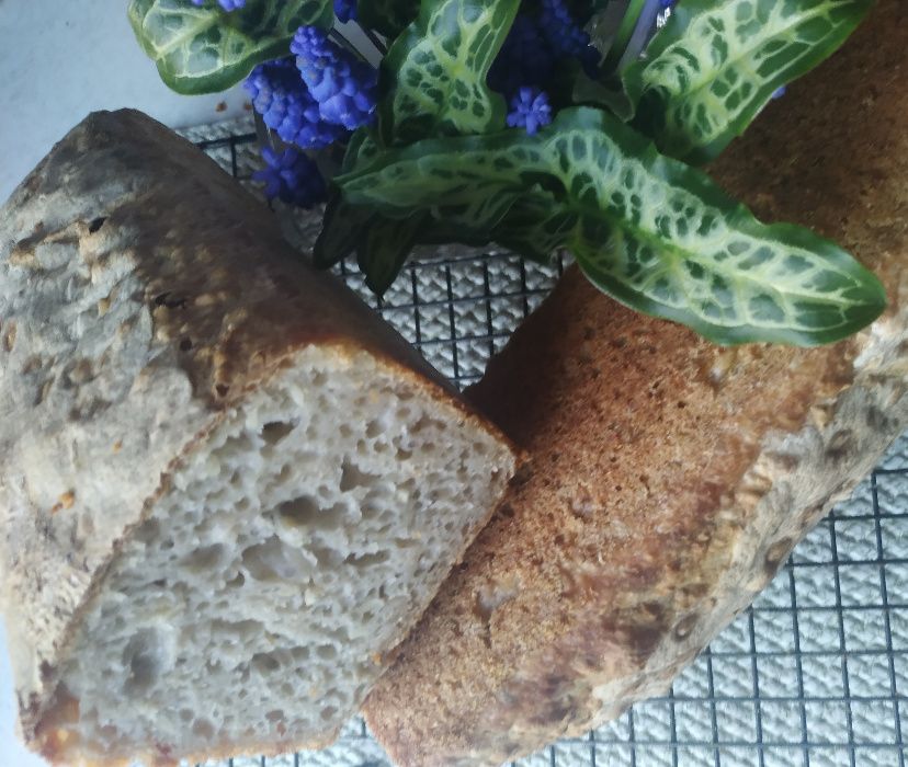 Zakwas zaczyn na chleb