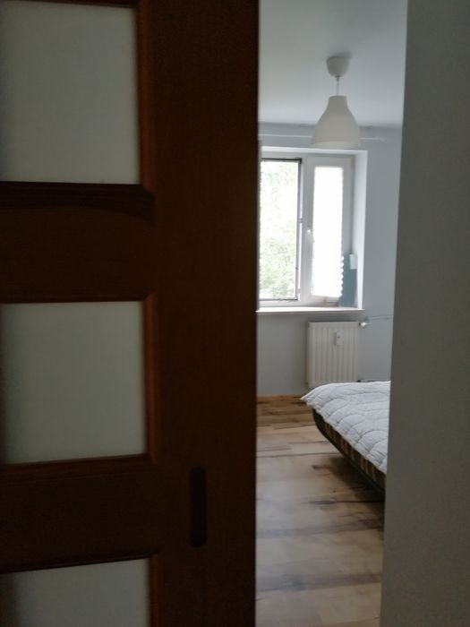 W parku 3 pok oddzielne / kuchnia z oknem/ balkon /moskitiery - Widok 5
