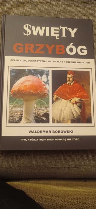 Książka Grzybóg jak Nowa