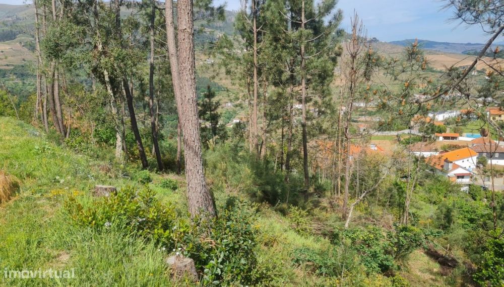 Land for Sale, Gestaçô, Baião