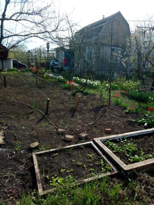 Продам ділянку з дачею в СК Чайка