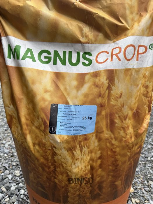 Owies Bingo Kwalifikat