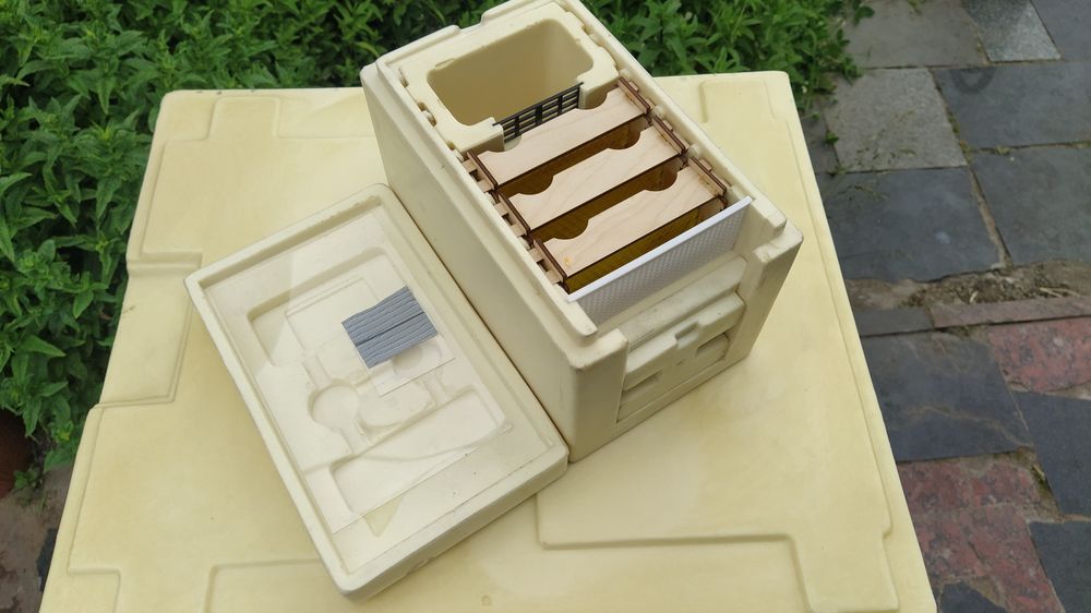 Нуклеус ППУ, Вулик