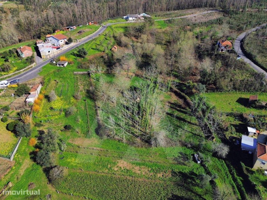 Terreno em Jafafe - Macinhata do Vouga