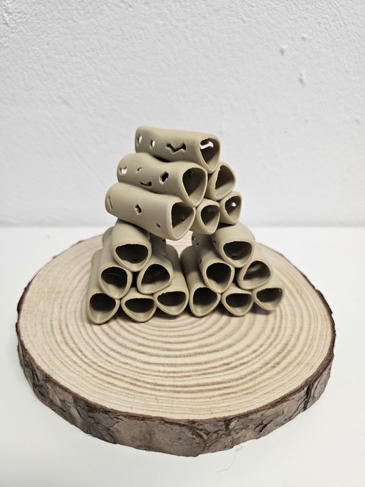 Toca para caridinas e neocaridinas