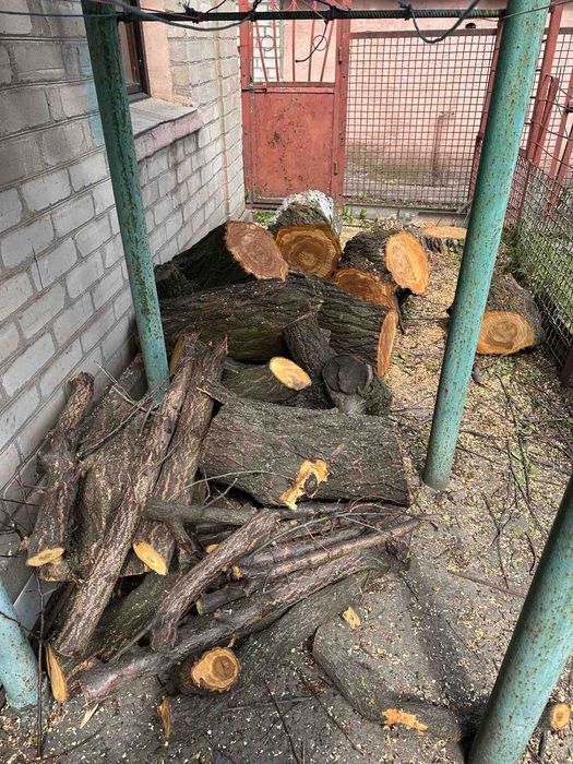 Дрова абрикоса, самовывоз