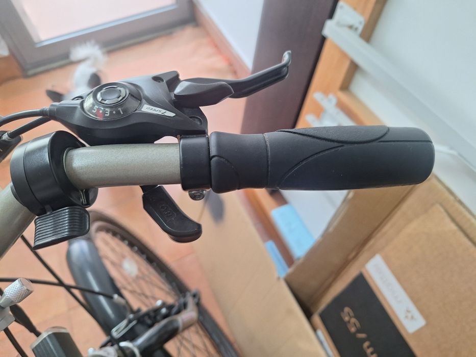 Bicicleta eléctrica