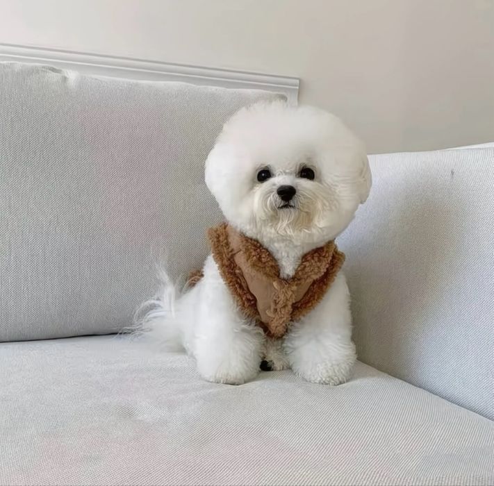 Дубленка для собак / Одя г для собак / Усі розміри /Преміум-матеріали