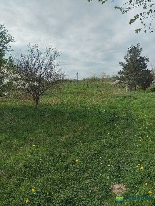 Продаж землі 25 соток Галицький район с Височанка (1)