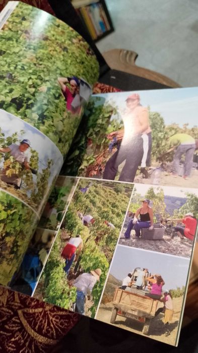Douro Valley Journeys and Stories