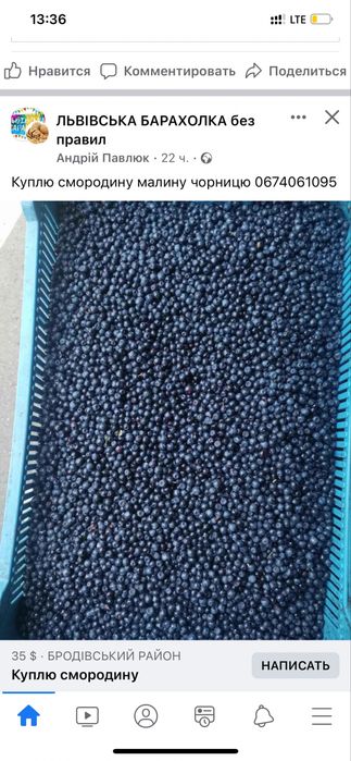 Продаємо на постійній основі ягоди Смородини,Ожини,Малини