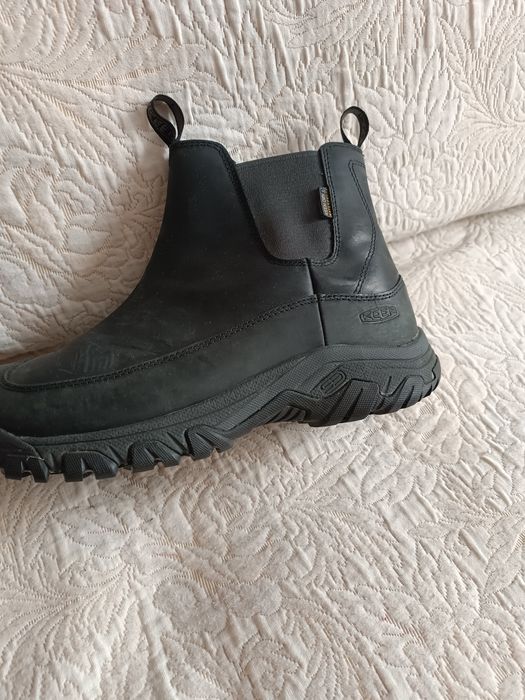 Ботаніки чоловічі