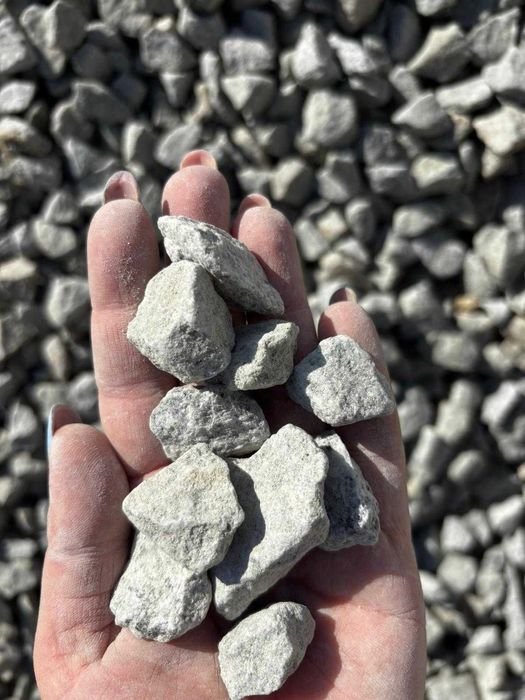 Grys granitowy, DALMATYŃCZYK 8-16, 16-22