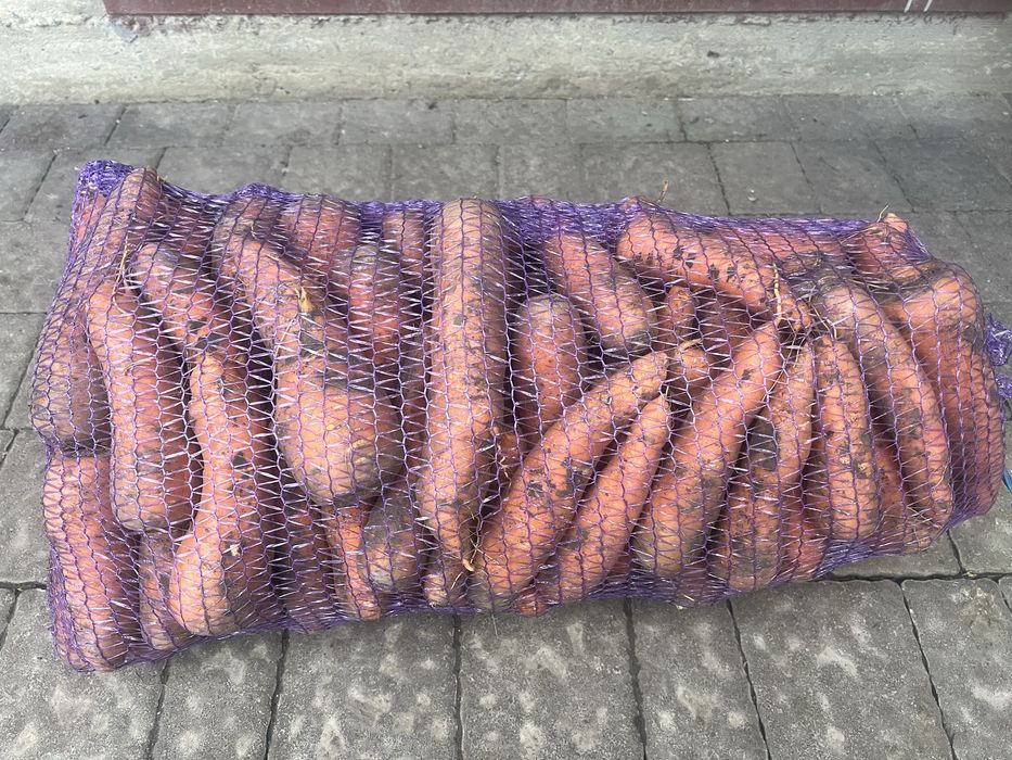 Продам смачну моркву