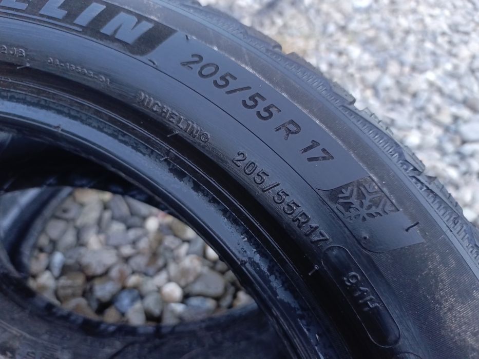 205.55.17 Michelin Pilot Alpin 2 шт