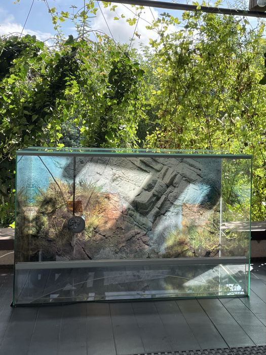 Terrarium dla gada 80x50x40 cm z wyposażeniem oraz oświetleniem led
