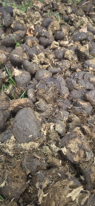 Obornik koński czysty workowany nawóz naturalny warzywa krzewy drzewa