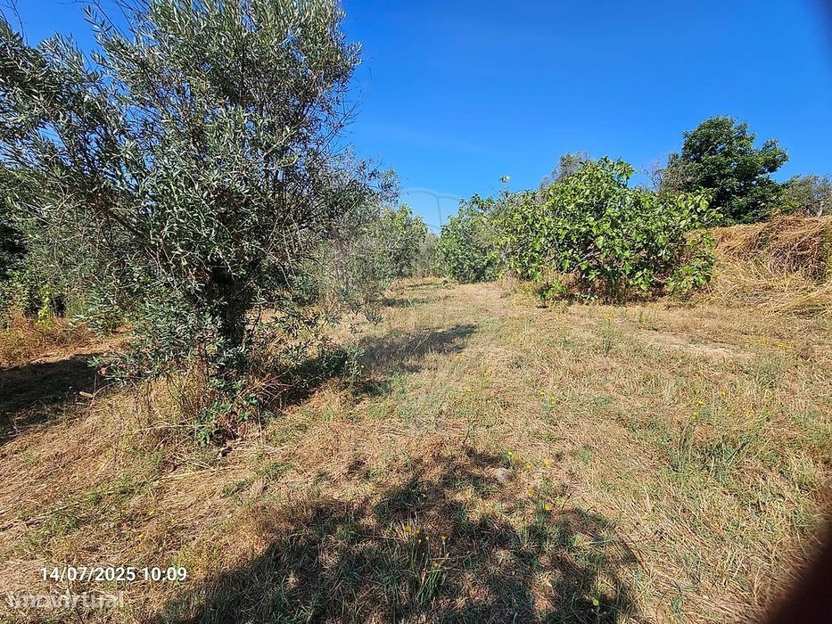 Terreno  para venda — Freches E Torres, Guarda