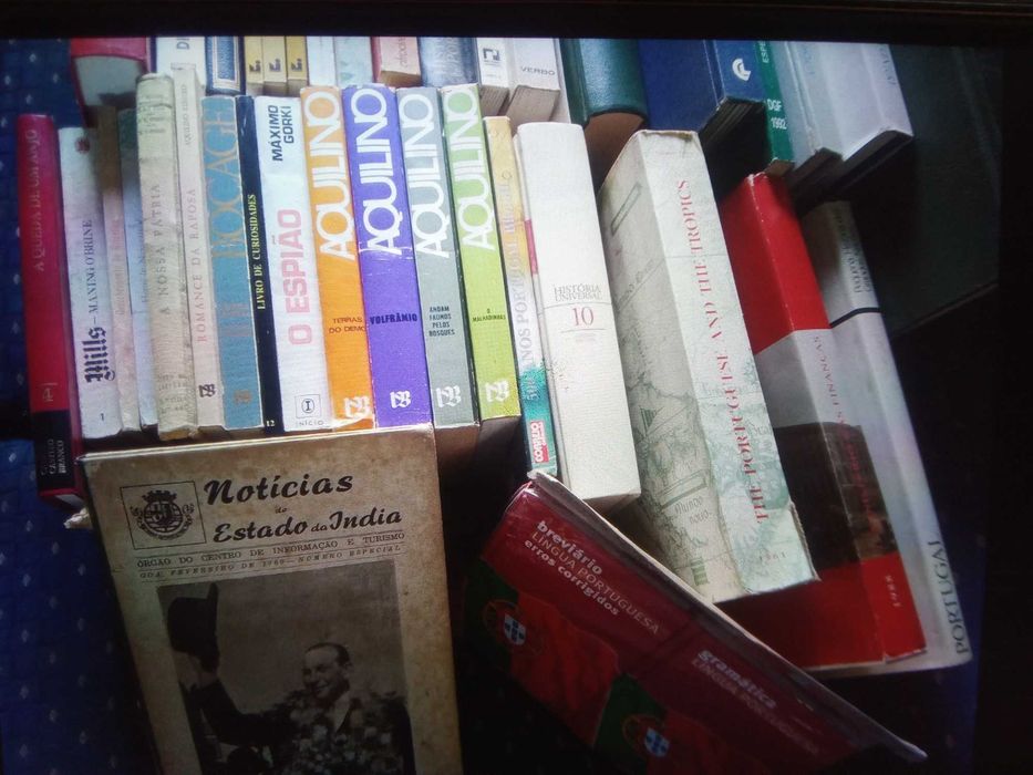 Livros Diversos (+ de 60 livros) Individual ou lote (Ver descrição