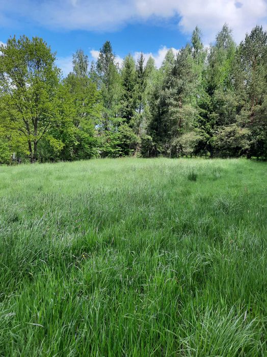 Piękna działka w Komarnie - Widok 5