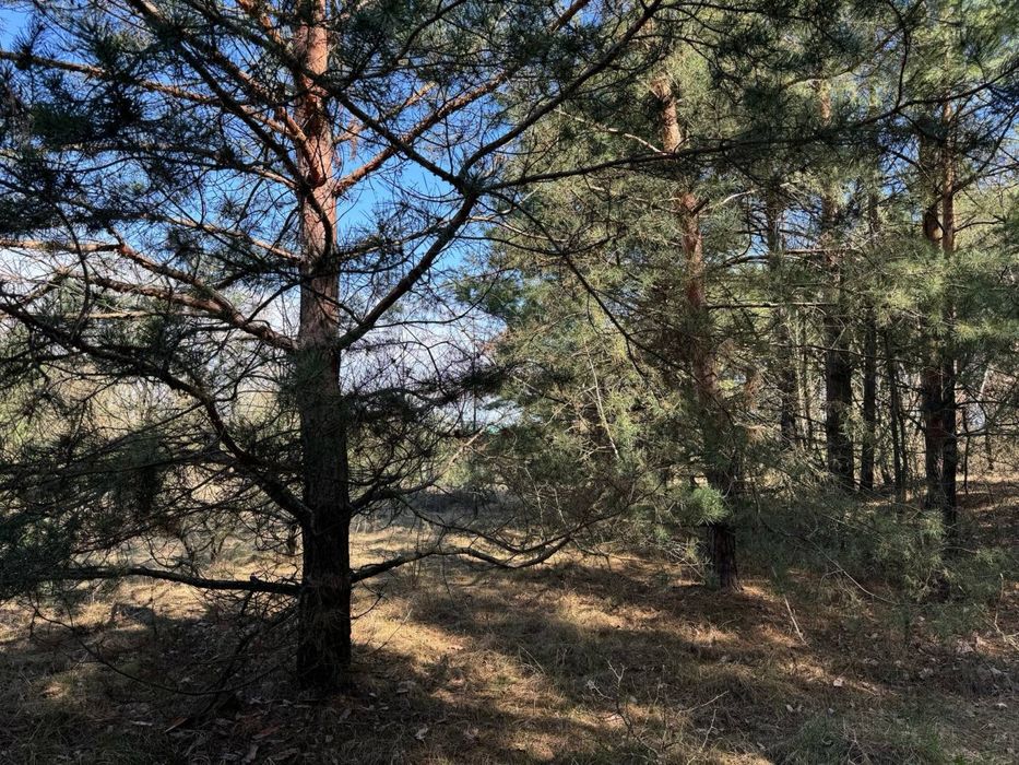 25 соток с. Ярошівка Фастівський район