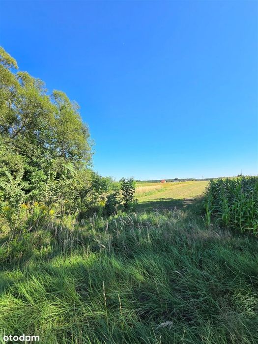Działki budowlane Bojszowy - Międzyrzecze