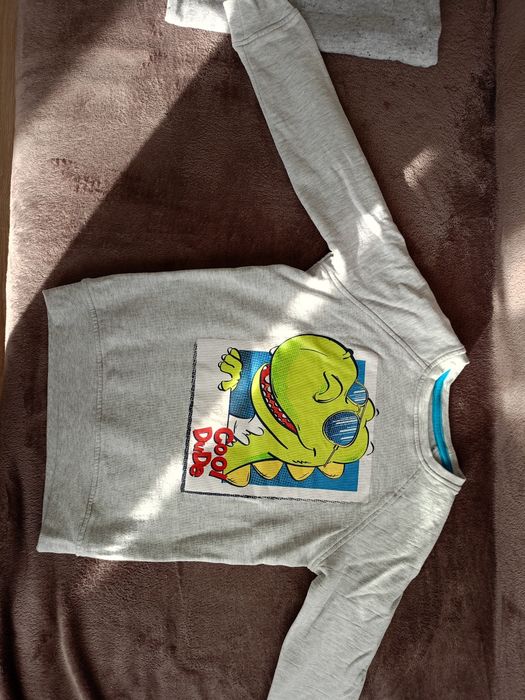 Bluza dinozaur 122 Cool Dude